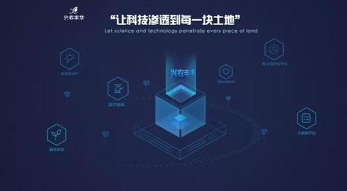 興農(nóng)豐華與國家玉米改良中心達成戰(zhàn)略合作 信息技術(shù)驅(qū)動玉米工程化育種創(chuàng)新